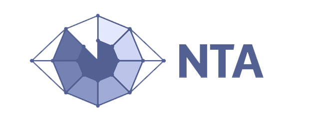 Логотип New Tech Audit
